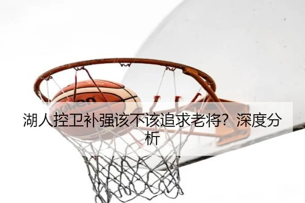 湖人控卫补强该不该追求老将？深度分析（Kaiyun）
